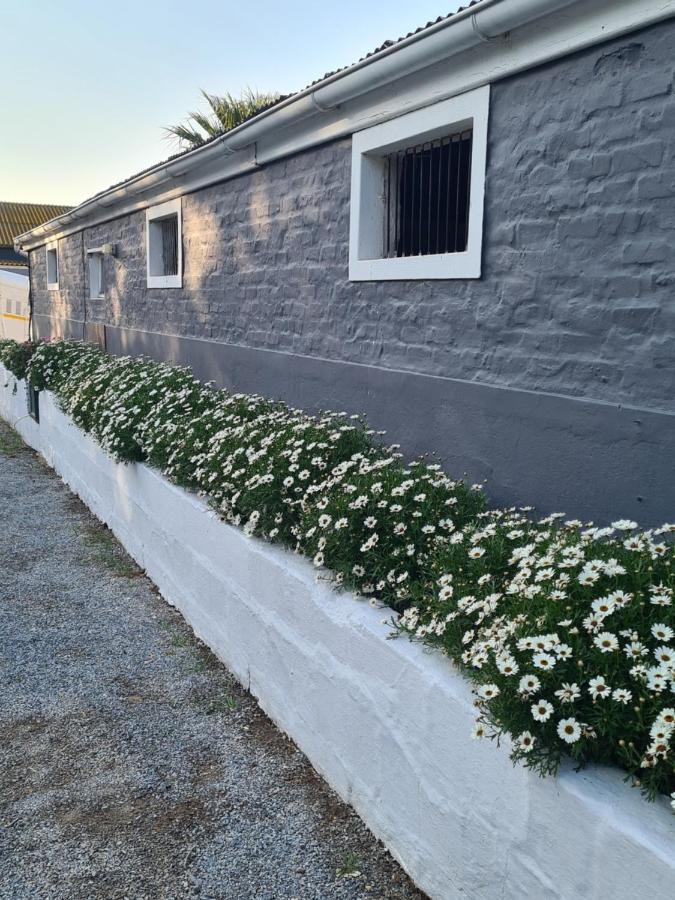 Prosper Stud Guest House Робертсон Екстериор снимка